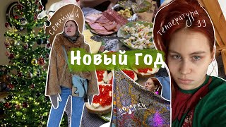 как прошел Новый год | температура 39, зимние прогулки, семейные посиделки