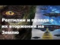 Рептилии и правда о их вторжении на Землю