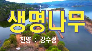 생명나무  2회 반복 강수정 찬양 선교사/ 작사 곽기종 /작곡 장욱조