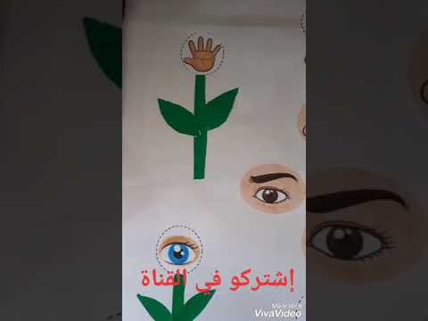 الحواس الخمس التعرف على الحواس الخمس مع التحضيري
