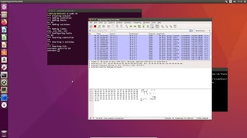 9 Mininet and Wireshark