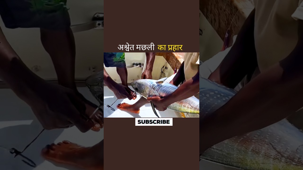 अश्वेत मछली का प्रहार 😱 #aivideo #facts #shortvideo #shortsfeed #fish #youtubeshorts #amazing