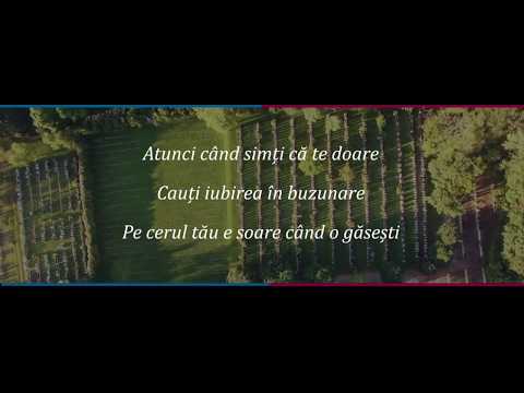 Ioana Ignat x Edward Sanda - In Palma Ta (ver.karaoke and remix)