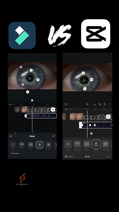 Eye Effects: Filmora vs CapCut