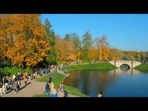 🍂Золотая осень в