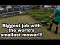 This is the most difficult tall grass cutting job I have ever had! - Satisfying mowing Australia