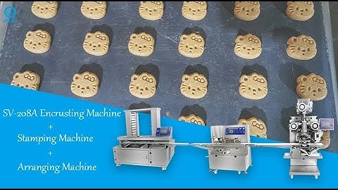 SV-208A Food production line/mooncake machine line