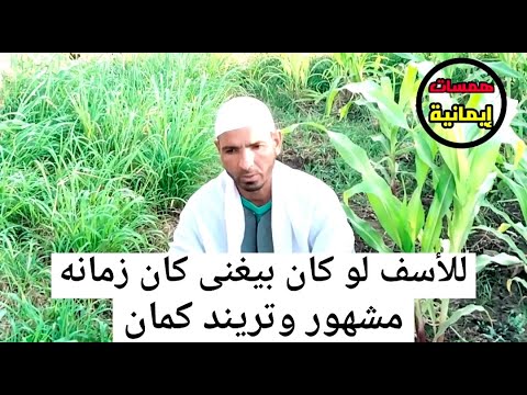 للأسف لو كان بيغنى كان زمانه مشهور وتريند لكنه يقرأ القرآن همسات إيمانية 