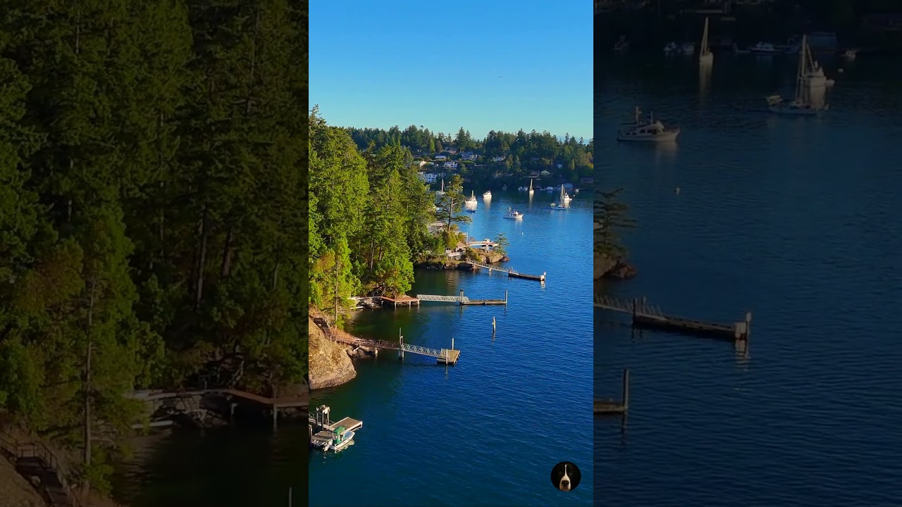 Береговая линия острова Браун 🌊 Вид из Фрайдей-Харбор | DJI Mini 4