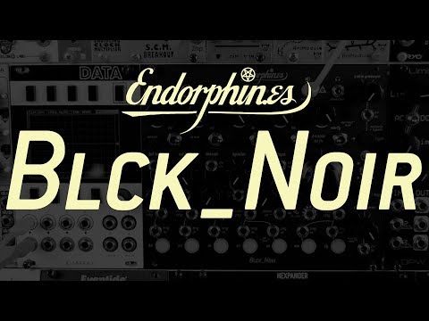 Endorphin.es BLCK NOIR (7 analogue drums with VCF, modulation, performance controls, FX & more!)