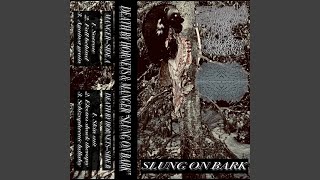 SKIN SUIT (feat. Death by Hornets)