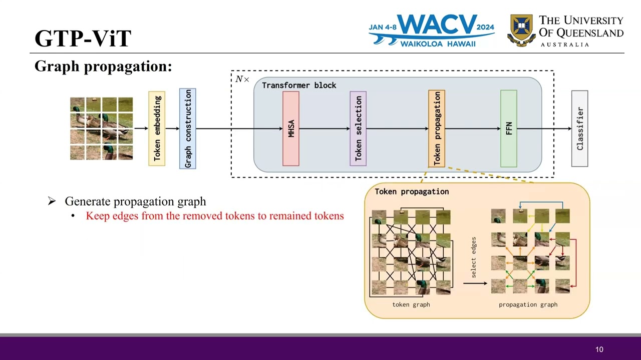 GTP-ViT: Efficient Vision Transformers via Graph-Based Token Propagation
