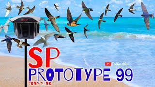 Suara Panggil Burung walet | SPC PROTOTYPE 99 TONI YANG | swiftlet sound - audio walet original