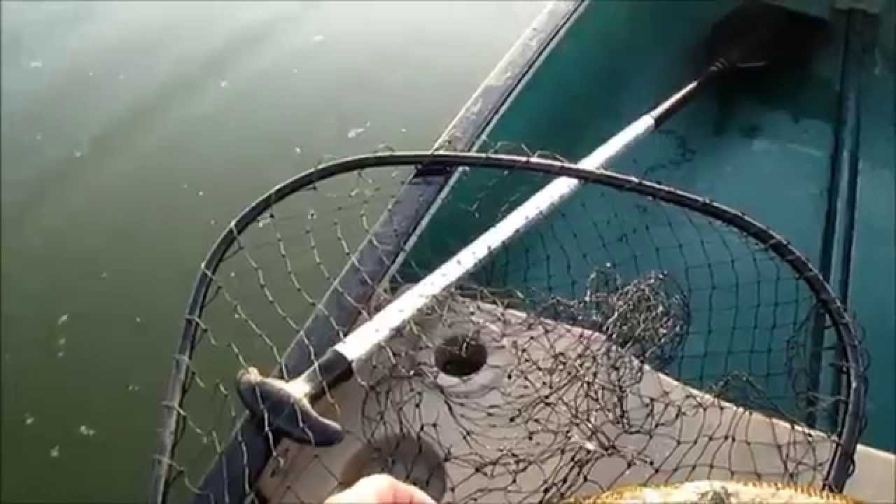 ho†jobz Fishing Challenge ☆ last day at Upper Turtle Lake YouTube