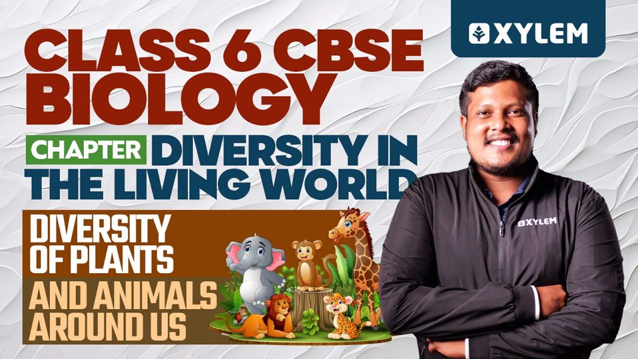 Class 6 CBSE Biology Chapter Diversity In The Living World Xylem class-6-cbse-biology-chapter-diversity-in-the-living-world-xylem