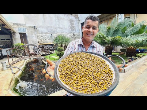 Vídeo: Quais Produtos Podem Substituir Os Peixes