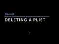 SNAGIT: DELETING A PLIST