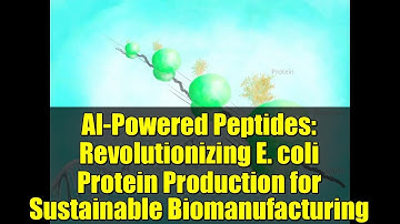 AI-Powered Peptides: Revolutionizing E. coli Protein Production for Sustainable Biomanufacturing