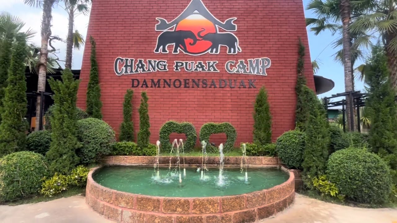 Thrills & Traditions at Chang Puak Camp 🇹🇭🐘