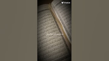 قرآن كريم بصوت جميل جميل #اكسبلور #لايك #دويتو #تيك_توك #duet #راحة_نفسية