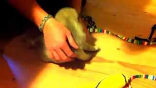 Ferocious Pug Puppy Boo Attacks