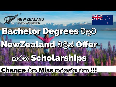 Free NewZealand Scholarships For Srilankan Students | How to Apply for a Scholarship | Bachelors