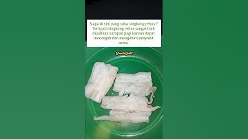 Manfaat sarapan singkong rebus menurut dr.Zaidul akbar #tipsehat #infosehat #singkong #drzaidulakbar
