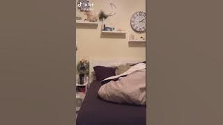 Cutest complitation dogs cats patatak dancing😍😍