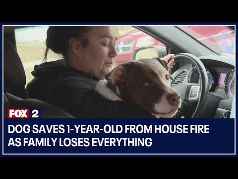 Video: Pet Scoop: 17-jarige hondenwaarschuwers die eigenaar zijn van Fire, Keepers Help Tiny Preemie Hippo