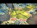 Crossroads Battle: Barbarians vs Roman Soldiers vs Egyptian Spearmen vs Zombies - UEBS 2
