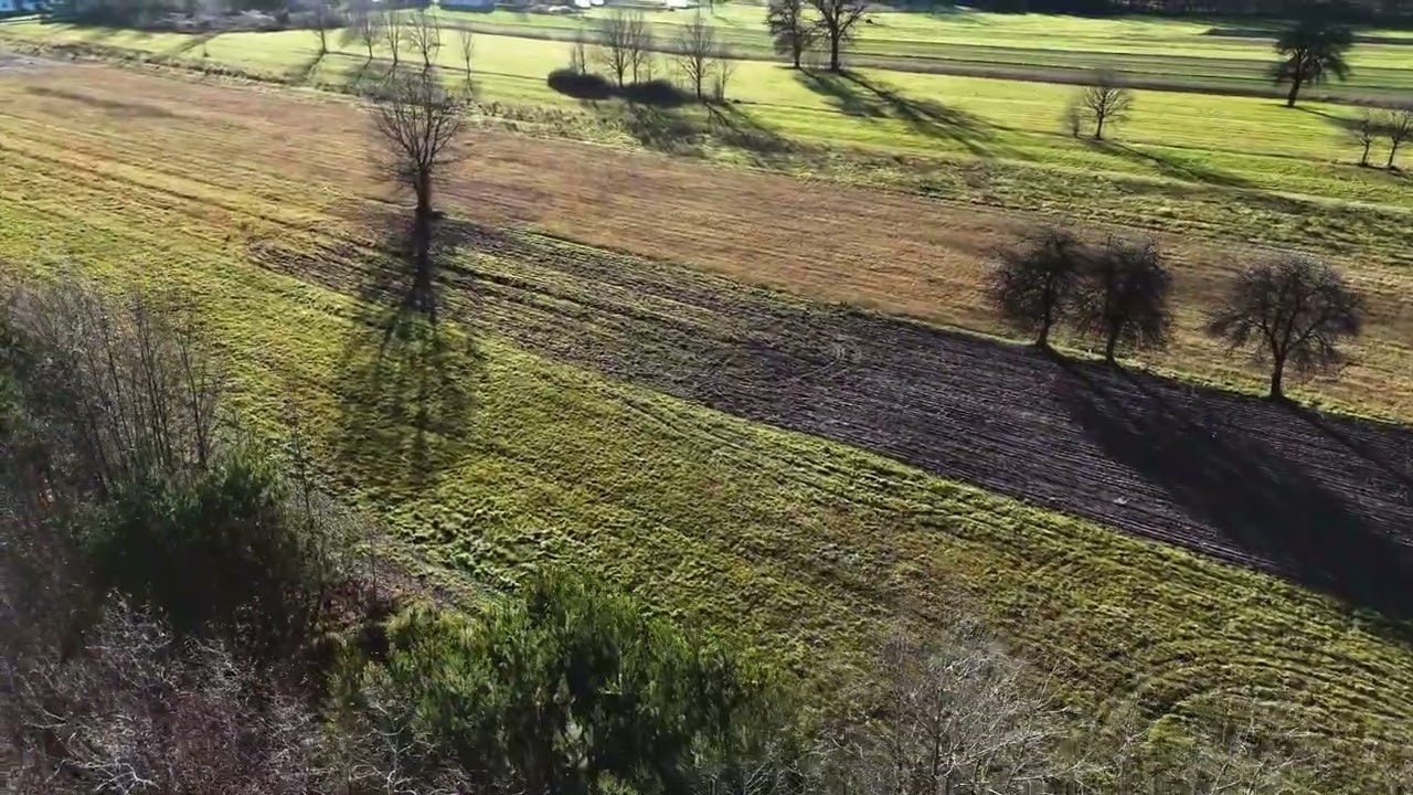 Działki w Dawidowie z WZ - otocz się ciszą - Działka - Sprzedaż - Radomski, Jedlnia-Letnisko / Dawidów