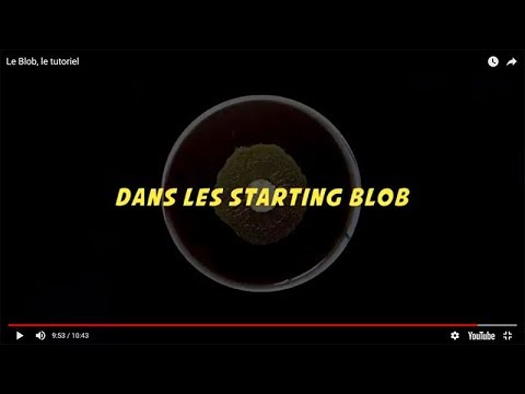 Vidéo: Comment Enregistrer Un Blob