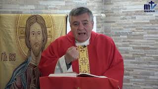 Homilía de hoy | Fiesta de San Marcos, evangelista | 25-04-2024 | Pbro. Santiago Martín, FM