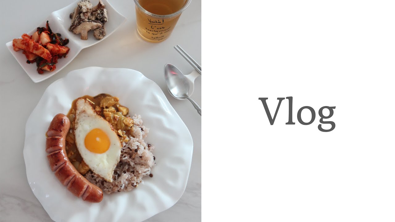 8개월생 하준이의 첫 고열 그리고 우리의 일상 브이로그