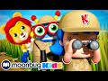 🦁 Vamos procurar um leão! 🦁 | KiiYii em Português | Moonbug Kids - Músicas Infantis