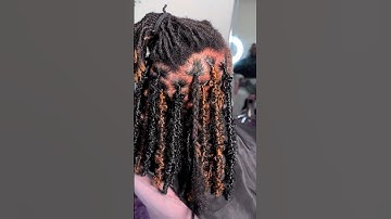 Learn Butterfly Locs | Over Locs