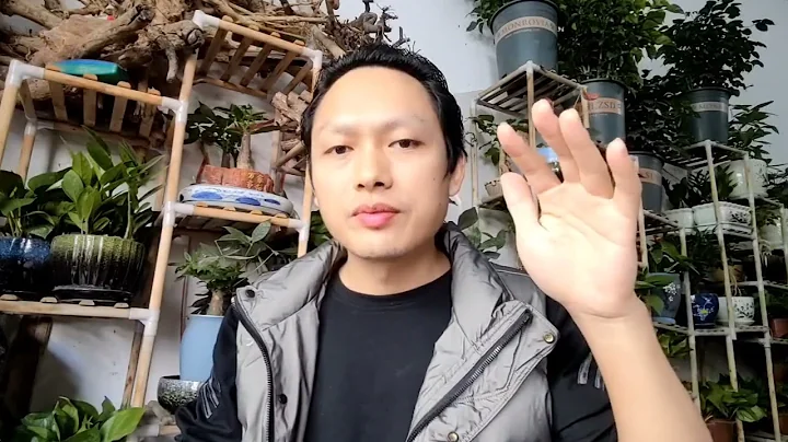 重点阐述，方便义上的事物，没有根。彼此之间都是暂时的显现。 - 天天要闻