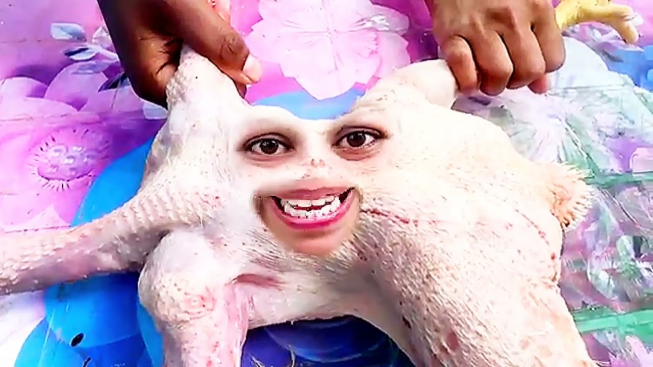 Top Ten of One Trending New Comedy Video In The World Ep 250 By Our Fun Tv