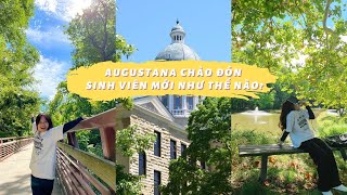 Welcome week|| Augustana chào đón sinh viên mới như thế nào (with subtitles)