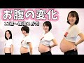 【妊娠初期～産後1か月のおなかの変化】妊娠12週～出産、産後｜妊娠生活｜タイムラプス動画