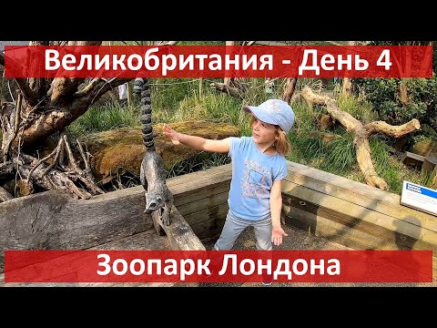 Великобритания: Зоопарк Лондона / London Zoo