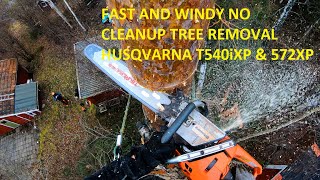 Small dropzone fast and windy arborist tree removal | Husqvarna T540iXP & 572XP by patkarlsson 7,755 views 1 year ago 16 minutes