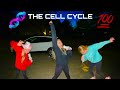 The cell cycle rap anaconda remix by taylor gann delaney crawford and nylie hales
