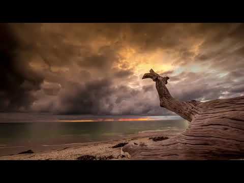 Bluesolar - Back