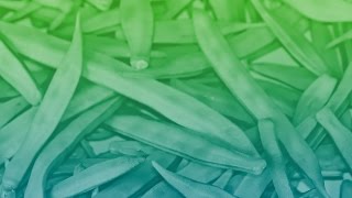Clean Label Trends Growing Natural Ingredients