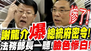 出大事了謝龍介爆出總統府密令法務部長一聽臉色慘白挫賽立法院質詢謝龍介VS蔡清祥20240307