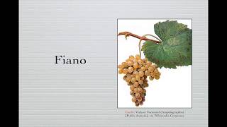 Winecast: Fiano