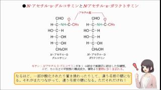 N-アセチルグルコサミンは、 キチンの構成糖である。 （○or×）