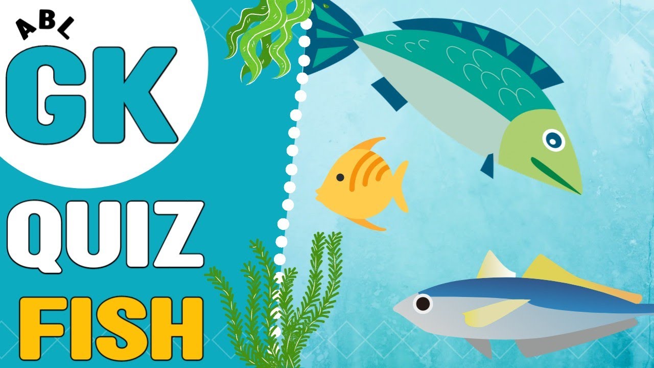 Aquatic Animals Quiz Gk Quiz On Fish general knowledge quiz gk basics YouTube