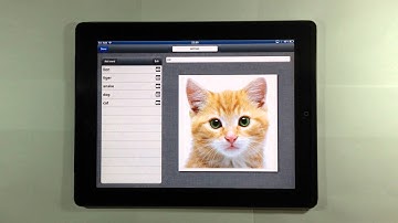 How to create flash cards using VoiceBits Words